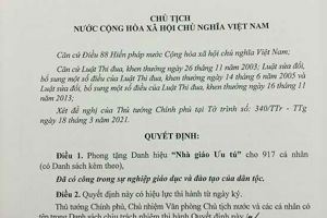 NHÀ GIÁO ƯU TÚ: 08 nhà giáo Lạng Sơn được Chủ tịch nước phong tặng danh hiệu “Nhà giáo ưu tú”