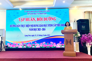 Tập huấn triển khai thực hiện nội dung giáo dục STEM cấp tiểu học tiếp cận Chương trình giáo dục phổ thông 2018