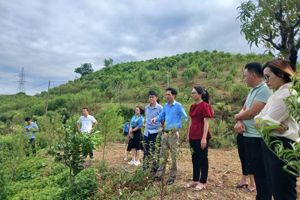 KIỂM TRA TIẾN ĐỘ THỰC HIỆN TIÊU CHÍ TRƯỜNG HỌC VÀ TIÊU CHÍ GIÁO DỤC ĐÀO TẠO THUỘC CHƯƠNG TRÌNH MỤC TIÊU QUỐC GIA XÂY DỰNG NÔNG THÔN MỚI NĂM 2023 CỦA XÃ HOÀNG ĐỒNG THÀNH PHỐ LẠNG SƠN