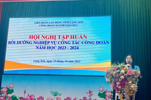 CÔNG ĐOÀN NGÀNH GIÁO DỤC TỔ CHỨC TẬP HUẤN, BỒI DƯỠNG NGHIỆP VỤ CÔNG TÁC CÔNG ĐOÀN CHO ĐỘI NGŨ CÁN BỘ  CÔNG ĐOÀN CƠ SỞ NĂM 2023