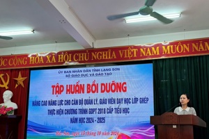 Tập huấn, bồi dưỡng nâng cao năng lực cho cán bộ quản lý, giáo viên dạy học lớp ghép  thực hiện Chương trình giáo dục phổ thông 2018 cấp tiểu học năm học 2024-2025