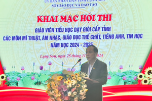 HỘI THI GIÁO VIÊN DẠY GIỎI TIỂU HỌC CẤP TỈNH CÁC MÔN ÂM NHẠC, MĨ THUẬT, GIÁO DỤC THỂ CHẤT,  TIẾNG ANH, TIN HỌC - NĂM HỌC 2024 – 2025