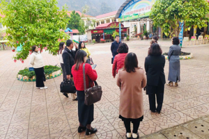 SỞ GIÁO DỤC VÀ ĐÀO TẠO KIỂM TRA CÔNG TÁC TĂNG CƯỜNG TIẾNG VIỆT, KỸ NĂNG SỐNG, TRẺ LÀM QUEN TIẾNG ANH  VÀ CHƯƠNG TRÌNH TÔI YÊU VIỆT NAM  HUYỆN HỮU LŨNG, NĂM HỌC 2024-2025