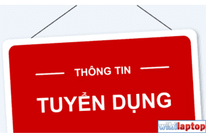 THÔNG BÁO DANH SÁCH NGƯỜI TRÚNG TUYỂN NHU CẦU PHÁT SINH KỲ TUYỂN DỤNG VIÊN CHỨC CÁC ĐƠN VỊ SỰ NGHIỆP TRỰC THUỘC SỞ GDĐT NĂM 2024 VÀ VIỆC HOÀN THIỆN HỒ SƠ TUYỂN DỤNG ĐỐI VỚI NGƯỜI TRÚNG TUYỂN