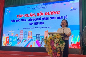 Tập huấn, bồi dưỡng giáo dục STEM, giáo dục kỹ năng công dân số cấp tiểu học