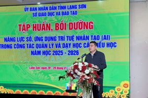 Tập huấn, bồi dưỡng nâng cao năng lực cho cán bộ quản lý, giáo viên về năng lực số, ứng dụng trí tuệ nhân tạo (AI) trong quản lý và dạy học cấp tiểu học năm học 2025-2026